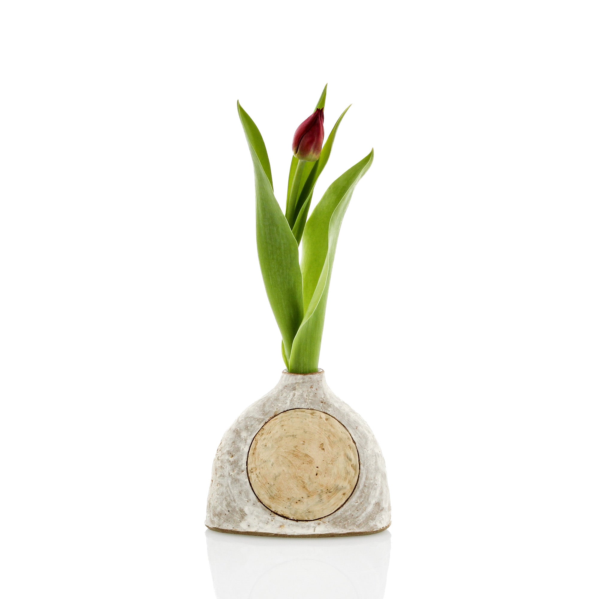 Bliss2618