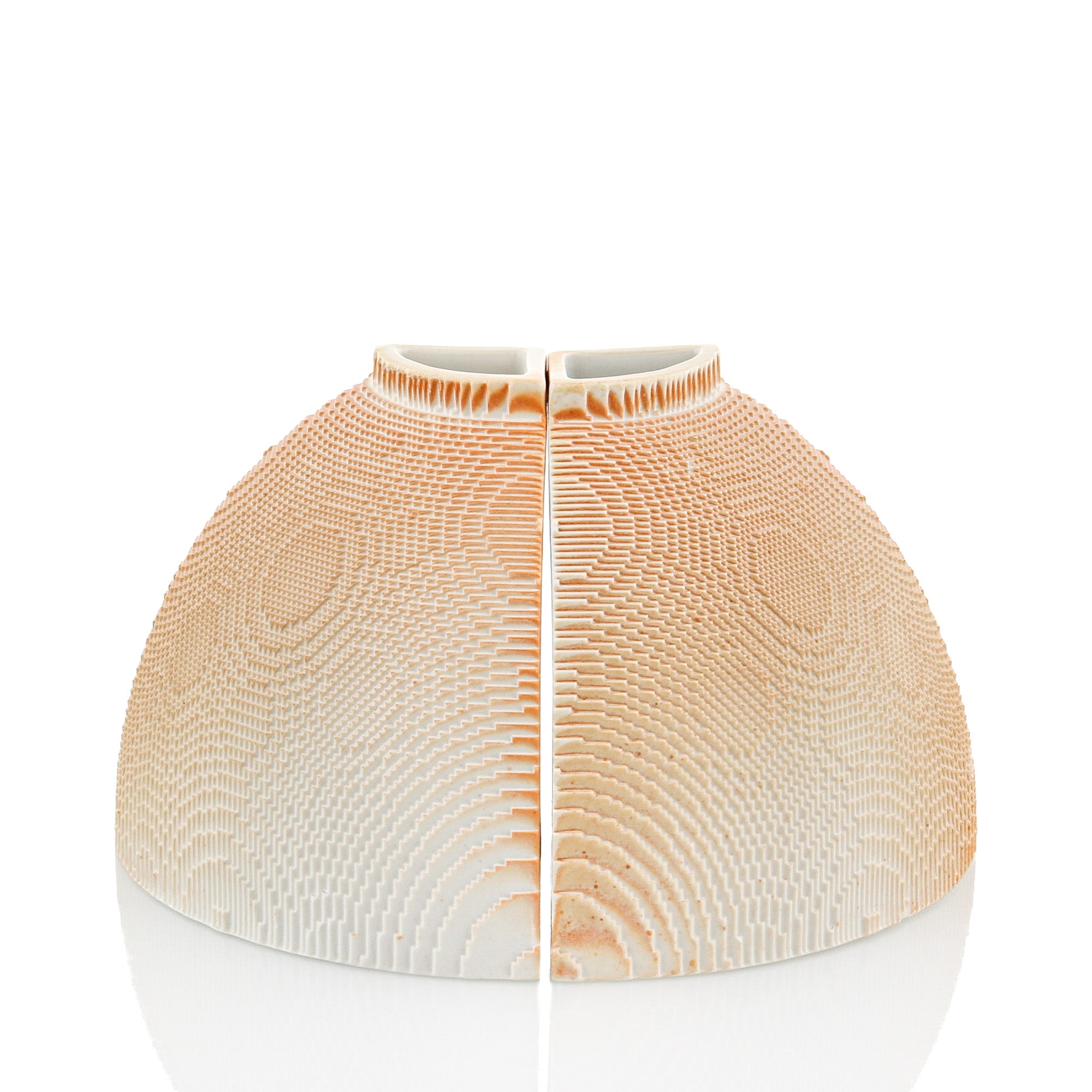 Campana2601
