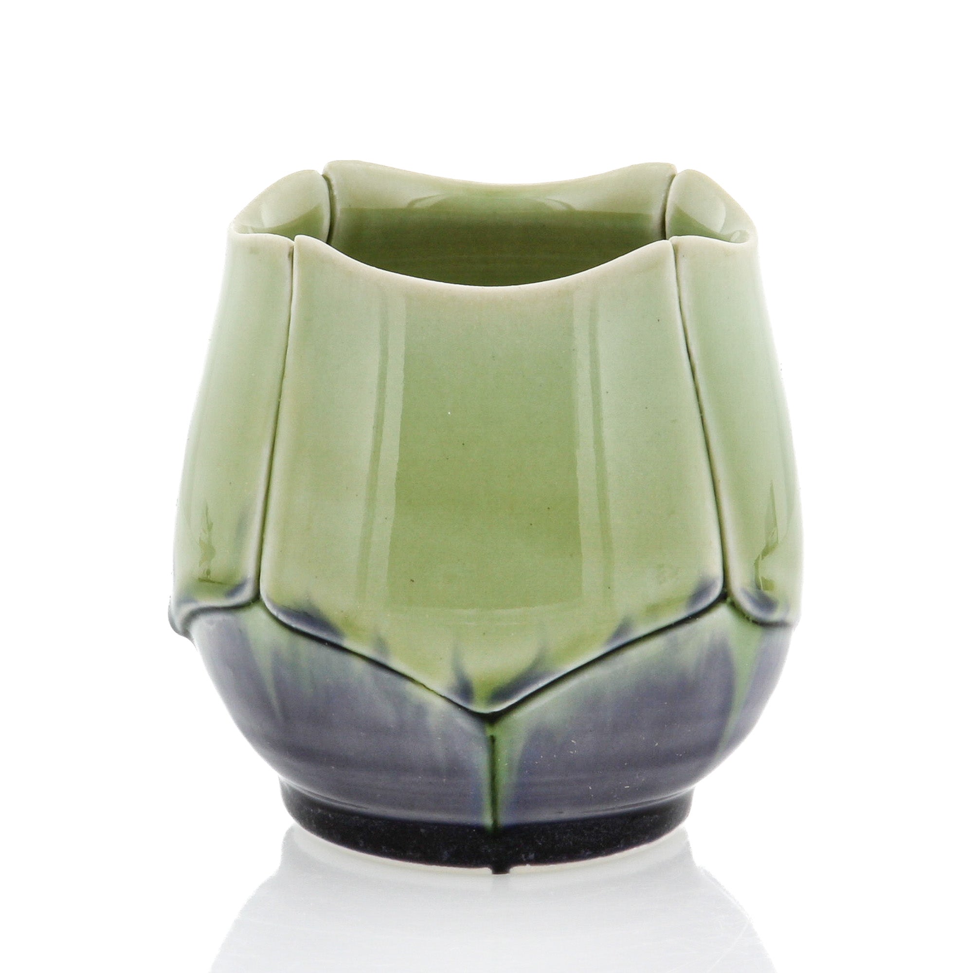 Campana2624