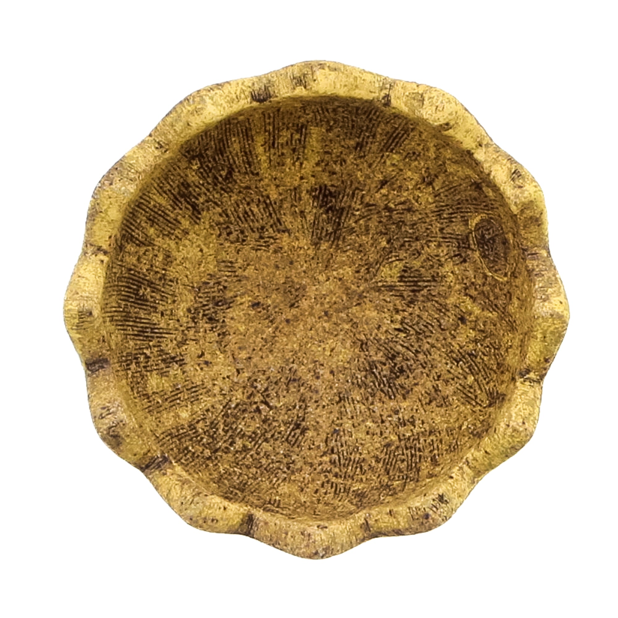 Celani2613