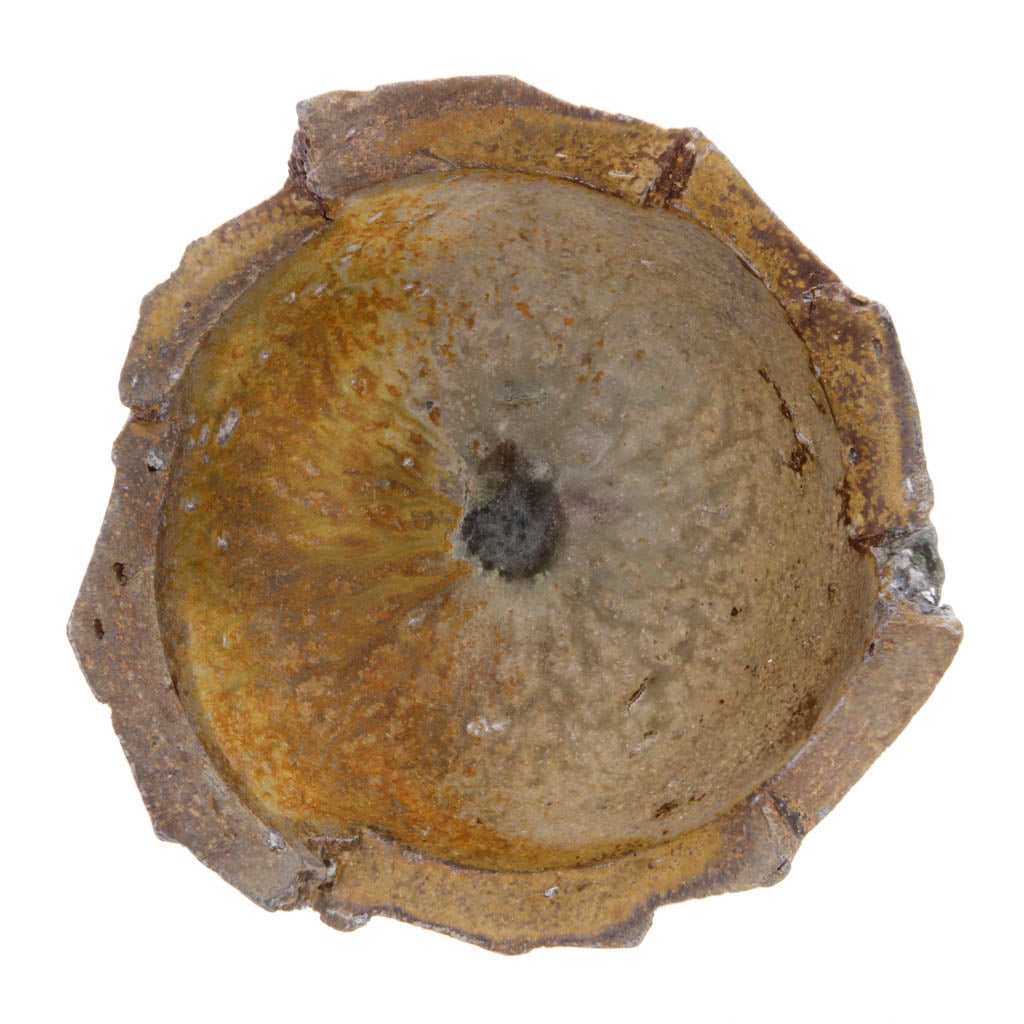 Voltz1807